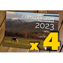 PACK DE 4 FOTOcalendarios "Castilla y León es fascinante" 2023
