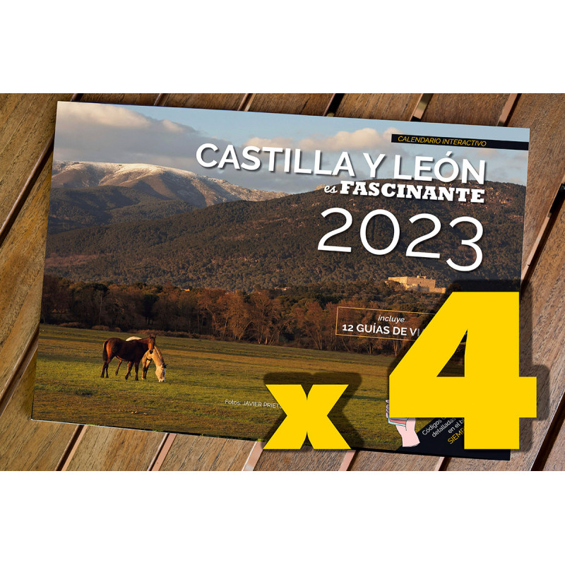 PACK DE 4 FOTOcalendarios "Castilla y León es fascinante" 2023