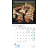 FOTOcalendario CASTILLA Y LEÓN ES FASCINANTE 2026