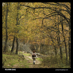 Calendario CASTILLA Y LEÓN ES FASCINANTE 2026  (¡Descuentos según cantidad!)