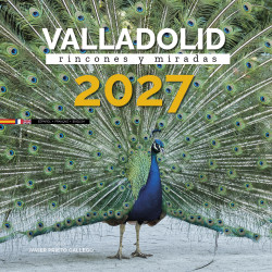 Calendario de pared VALLADOLID. Rincones y miradas 2027