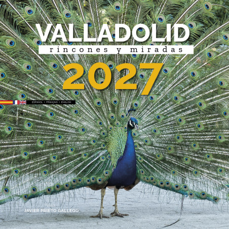 Calendario de pared VALLADOLID. Rincones y miradas 2027